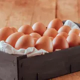 How to Dehydrate Eggs for Long-Term Storage: Complete Guide