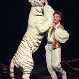 Once mauled by tiger, Siegfried & Roy star battling Covid-19