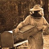 Best Bee Suits for Hot Weather | Beehour.com