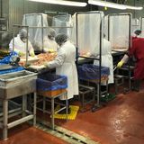 Hundreds of Georgia’s poultry workers have tested positive for COVID-19