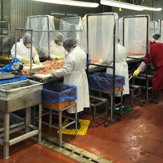 Hundreds of Georgia’s poultry workers have tested positive for COVID-19