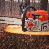 How to Remove Tree Stumps with a Chainsaw - Best Home Gear