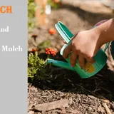 JK Mulch: Best Residential and Commercial Landscaping Mulch