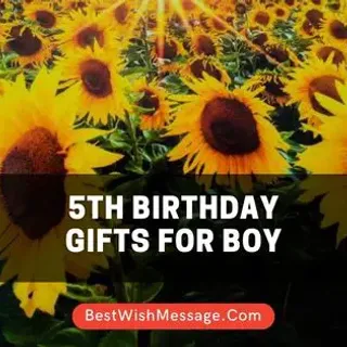 16 Unique and Educational 5th Birthday Gifts for Boy