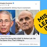 Coronavirus Research Grants Are Being Used To Smear Dr. Fauci