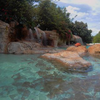 Planning a Trip to Discovery Cove in Orlando