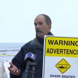 Shark Bite Reported at Moonlight Beach: SDSO