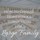 How to Choose Homeschool Curriculum for a Large Family