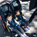 The Best Double Stroller for Running Anywhere