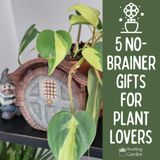 5 Easy Gift Choices for Plant Lovers this Holiday Season 2023 - Breathing Garden