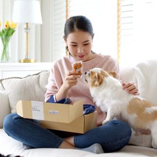 Best Dog Food Delivery Service 2023: PetFlow vs Chewy vs Amazon vs Ollie vs Farmers Dog vs Freshpet vs Nom Nom & More