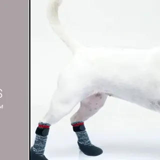 Top 9 Best dog socks: features and benefits