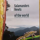 Great new book on salamanders and newts of the world (Raffaëlli )