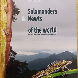 Great new book on salamanders and newts of the world (Raffaëlli )