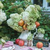 Secrets to a Budget-Friendly Apple Centerpiece and Tablescape