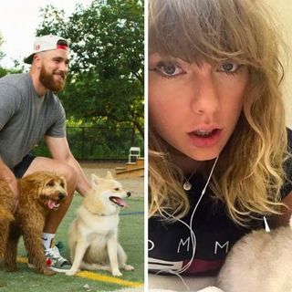 Does Travis Kelce Like Cats? Taylor Swift Fans Are Googling To Find Out