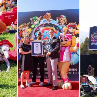 Guinness World Record Set by Over 200 Dogs Attending a Screening of Paw Patrol: The Mighty Movie