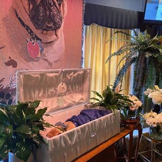 Man Holds Funeral to Bid Farewell and Honor His Beloved Dog – Celebrity Vila