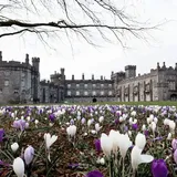 What to Do in Kilkenny, Ireland's Most Charming Heritage Town