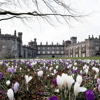 What to Do in Kilkenny, Ireland's Most Charming Heritage Town