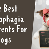 2023's 8 Best Coprophagia Deterrents For Dogs To Stop Poop Eating