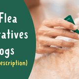 The Best Flea Medicine For Dogs Without A Vet Prescription