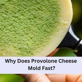 Cracking the Moldy Mystery: Why Does Provolone Cheese Mold Fast? - Cheese Lover Heaven