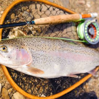 Best Fly Fishing Combos 2021 - Beginners Buying Guide