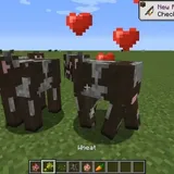 What Do Cows Eat in Minecraft [What To Feed Cows]