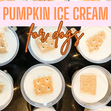 Pumpkin Ice Cream For Dogs