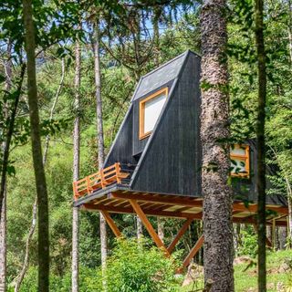 A Tree House That Feels Like It's Floating Inside The Forest