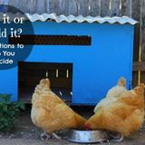 Should you Build or Buy your First Chicken Coop?