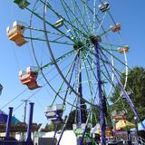 Coshocton County Fair highlights for Wednesday