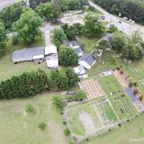 Planting a Spring Garden