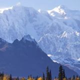 Fun and Exciting Things to Do in Denali National Park - Crazy Camping Girl