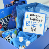 Blue-Themed Birthday Gift Idea - Crazy Little Projects