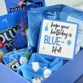 Blue-Themed Birthday Gift Idea - Crazy Little Projects