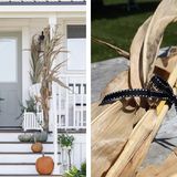 Fall Front Porch Decor That Can Be Grown or Gathered