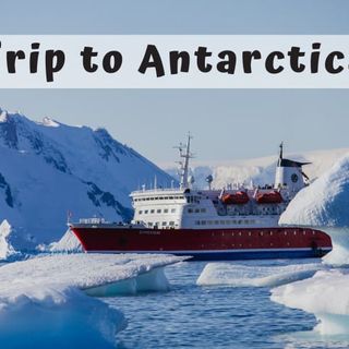 Trip to Antarctica Guide: What to Expect? How to Choose?