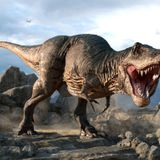 Tyrannosaurus Rex Trivia: How Much Do You Know About the King of Dinosaurs?