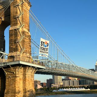 Roebling Suspension Bridge shut down due to protest