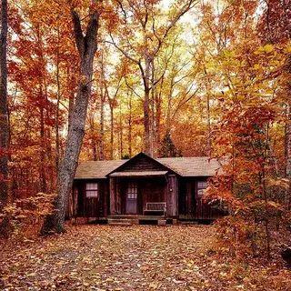 Iowa State Parks With Cabins: Find the Best State Park Cabin Rental For You - Des Moines Outdoors