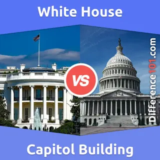 White House vs. Capitol Building: 5 Key Differences, Pros &