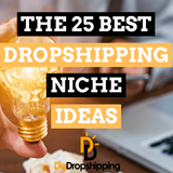 The 25 Best Dropshipping Niche Ideas for Your Store in 2023