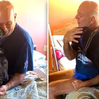 Heartwarming Surprise Visit Of Dog At Nursing Home To See His Human