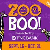 Enter to Win Tickets to the San Antonio Zoo Boo!