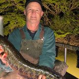 'If you catch one, kill it': Mississippi fights back against invasive northern snakehead