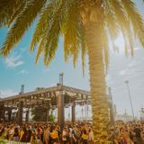 Embracing the Sights and Sounds of CRSSD Festival Fall [Review]