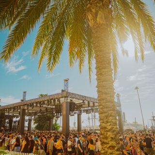 Embracing the Sights and Sounds of CRSSD Festival Fall [Review]