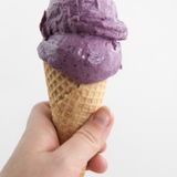 2-Ingredient Vegan Blueberry Ice Cream Recipe - Elephantastic Vegan